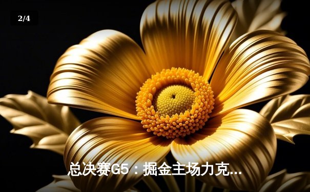 总决赛G5：掘金主场力克热火夺赛点，约基奇28+16统治内线 - 2